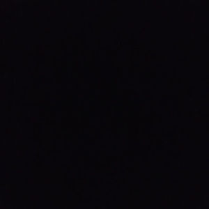 Meet your Posher, Dashawn